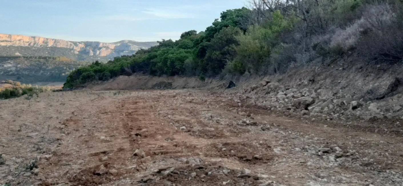 plantation noisetiers